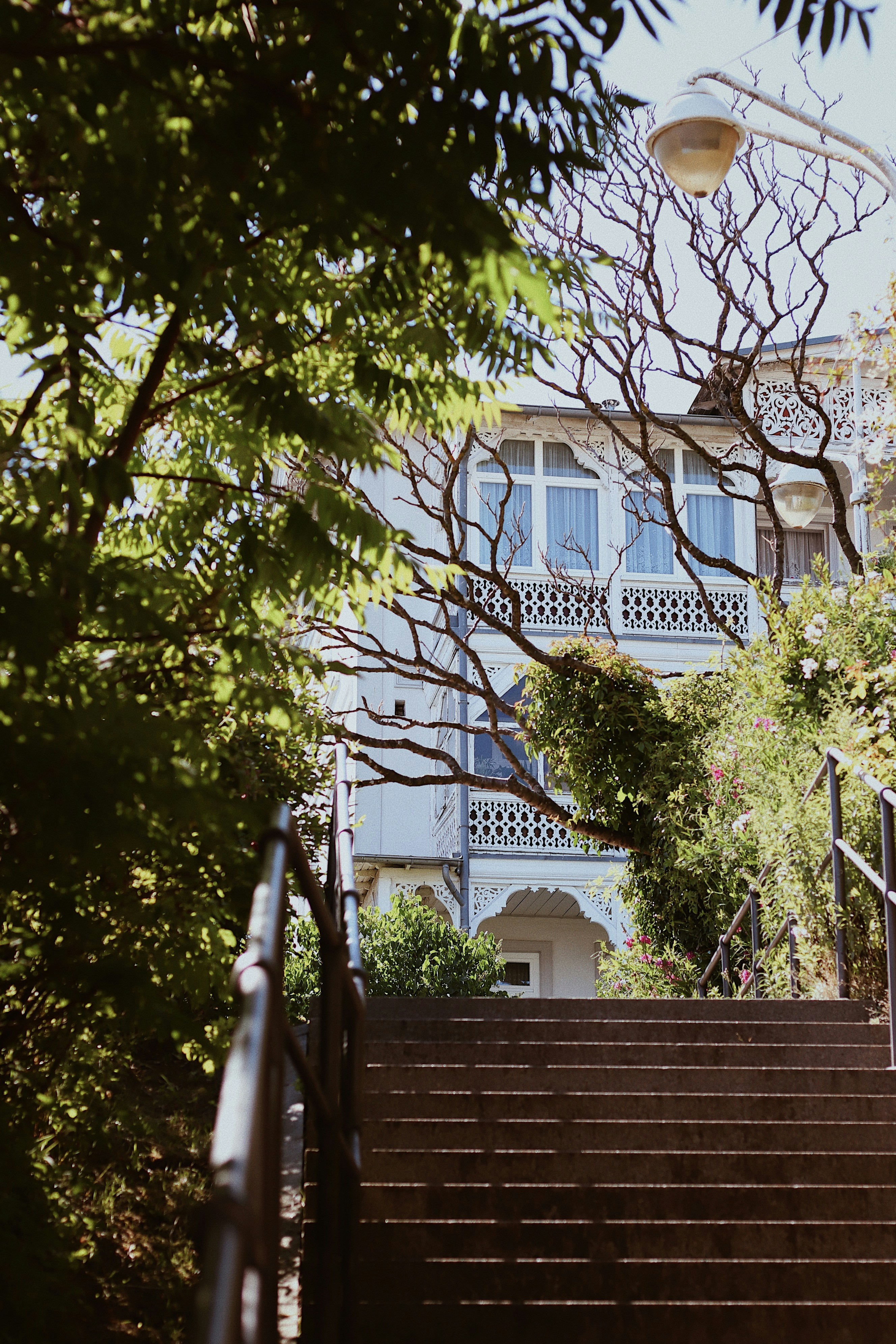 Photo by nesslovetim