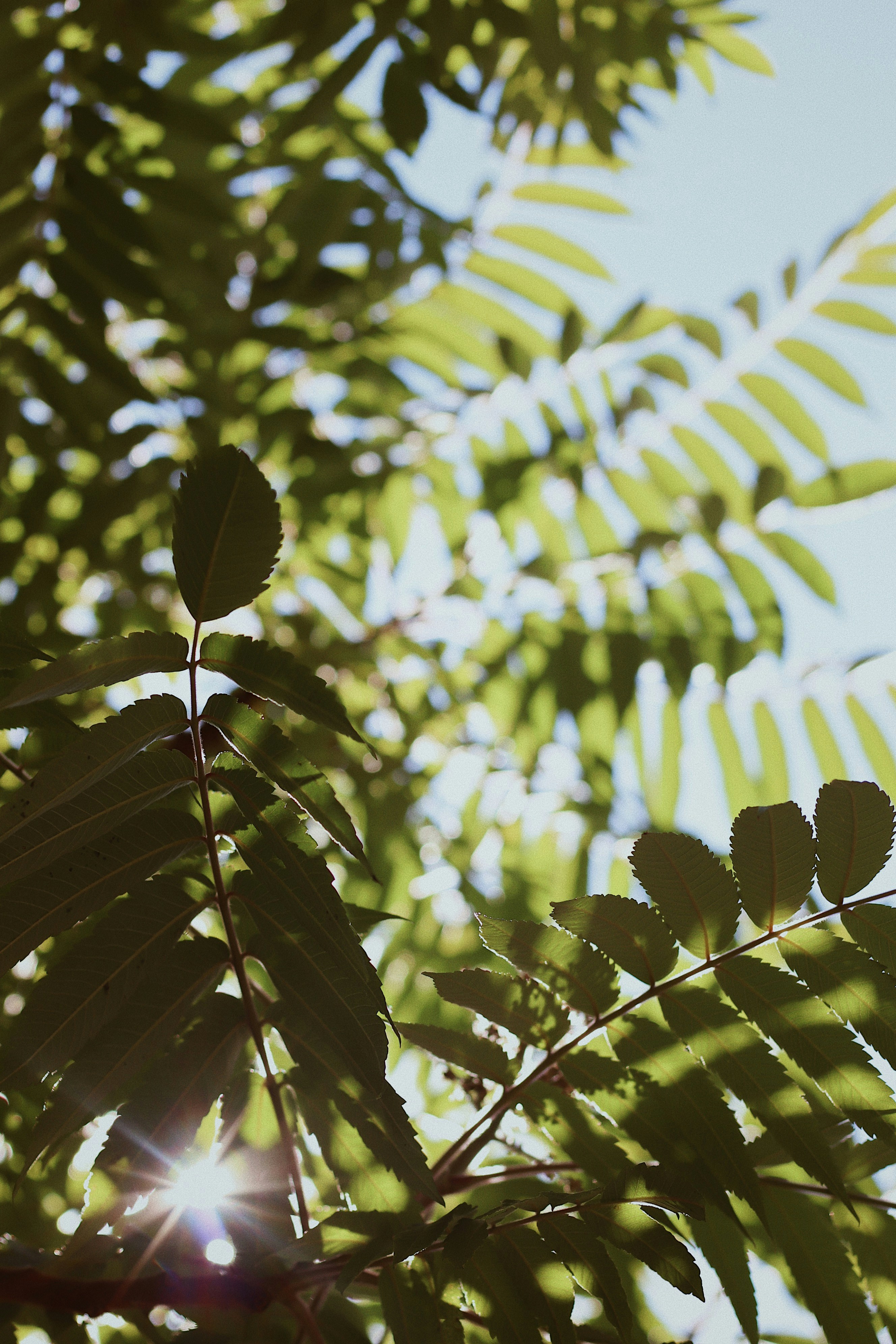 Photo by nesslovetim