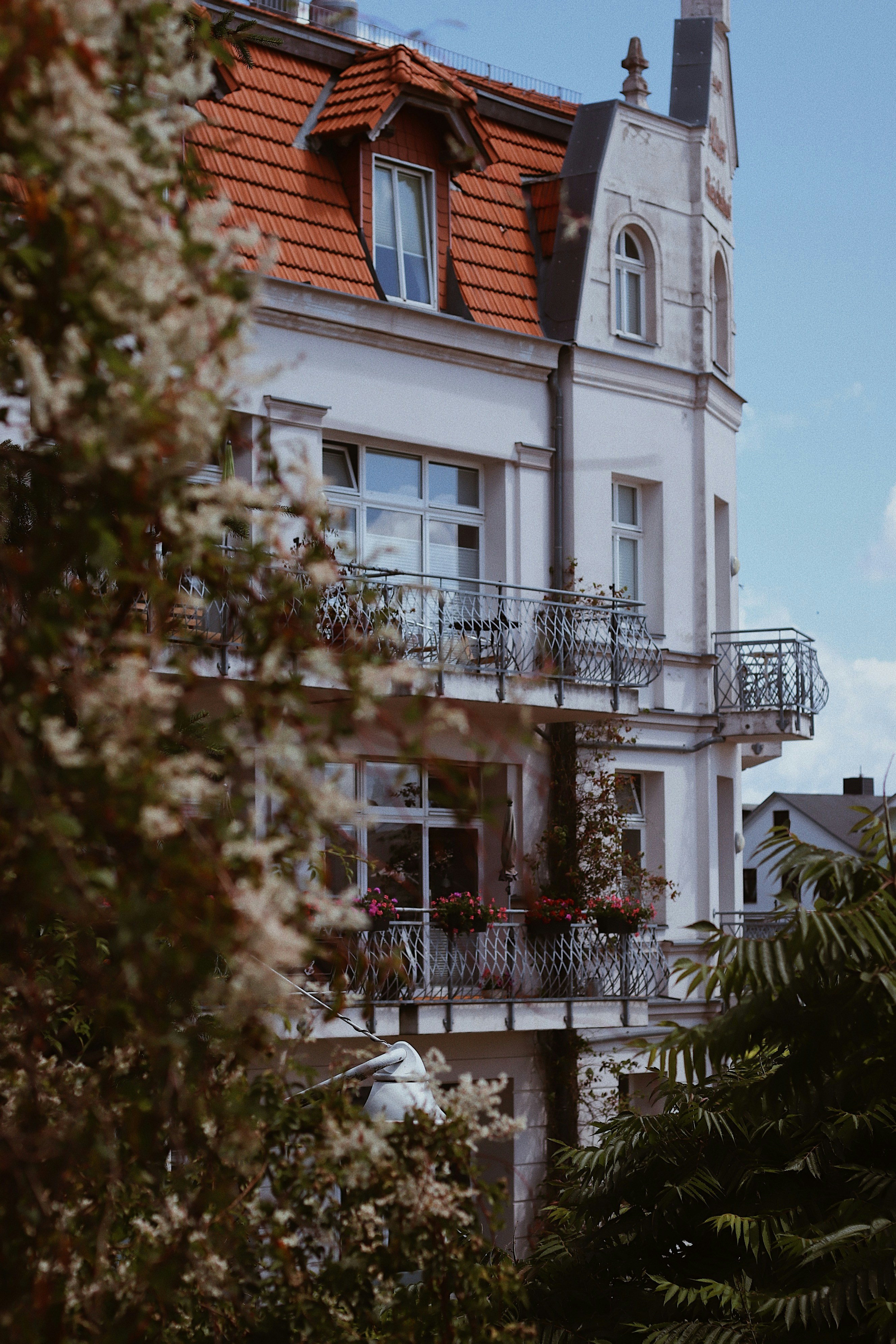 Photo by nesslovetim