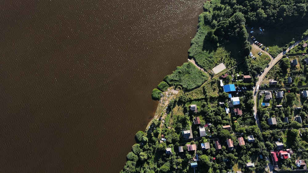 aerial view of houses near body of water during daytime