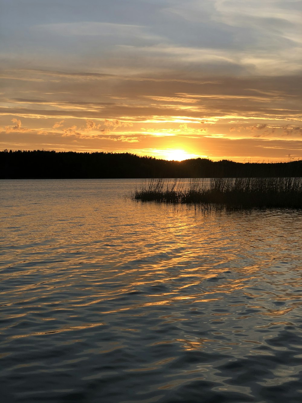 body of water near trees during sunset