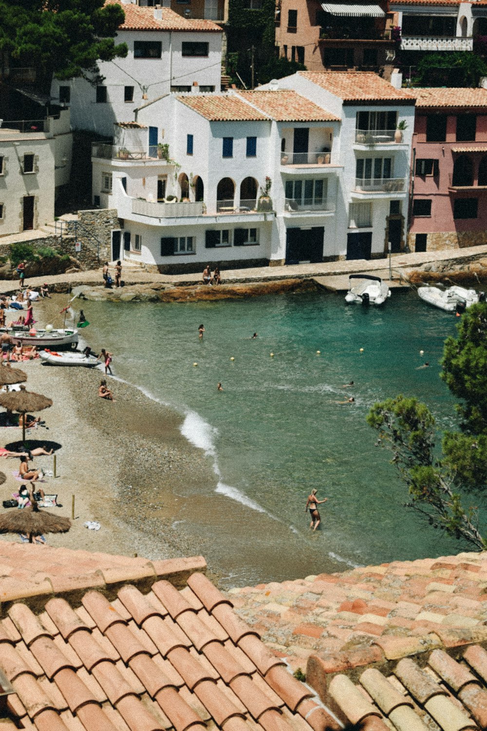 people on beach during daytime