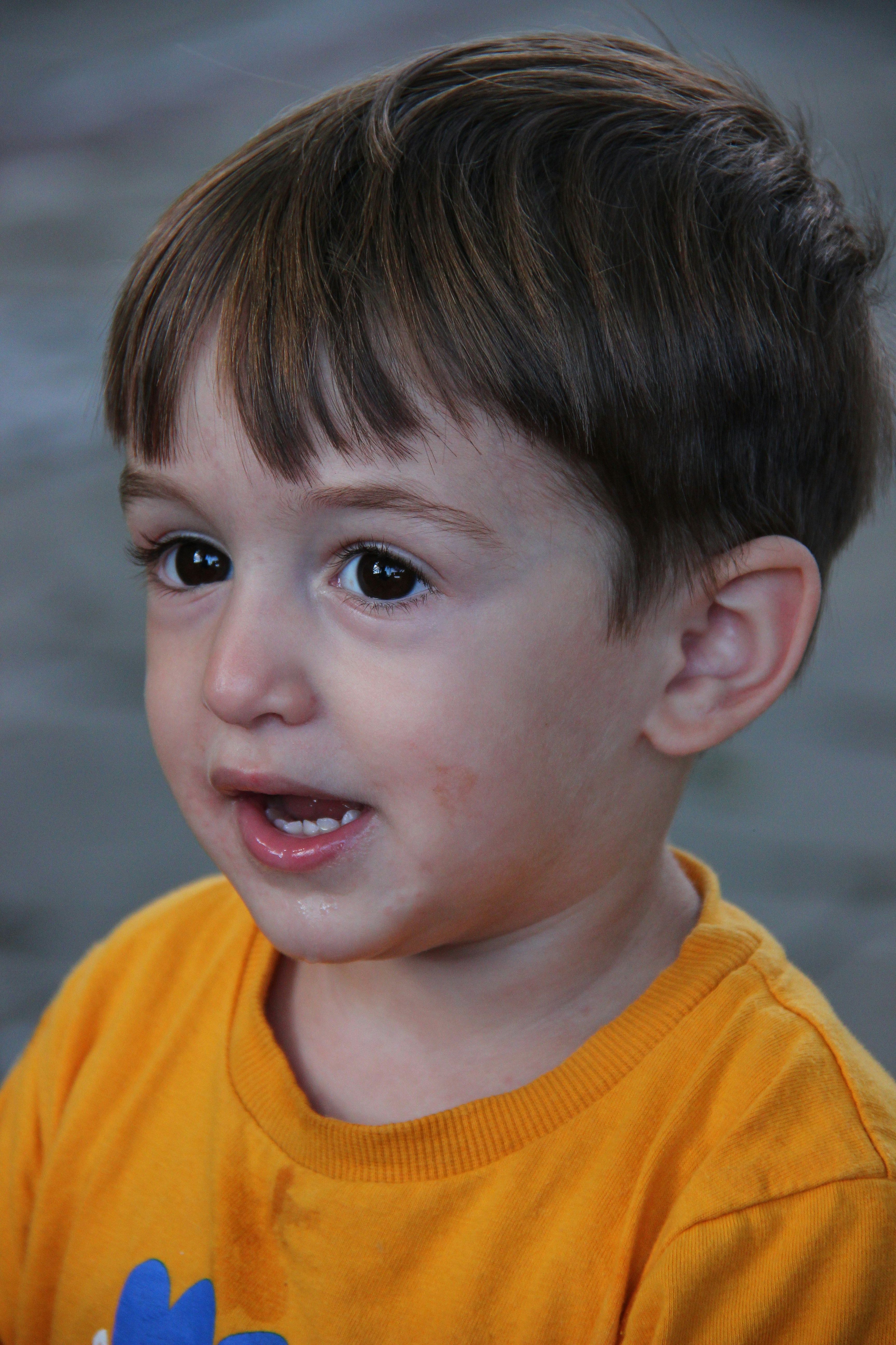 Photo by shalevcohen