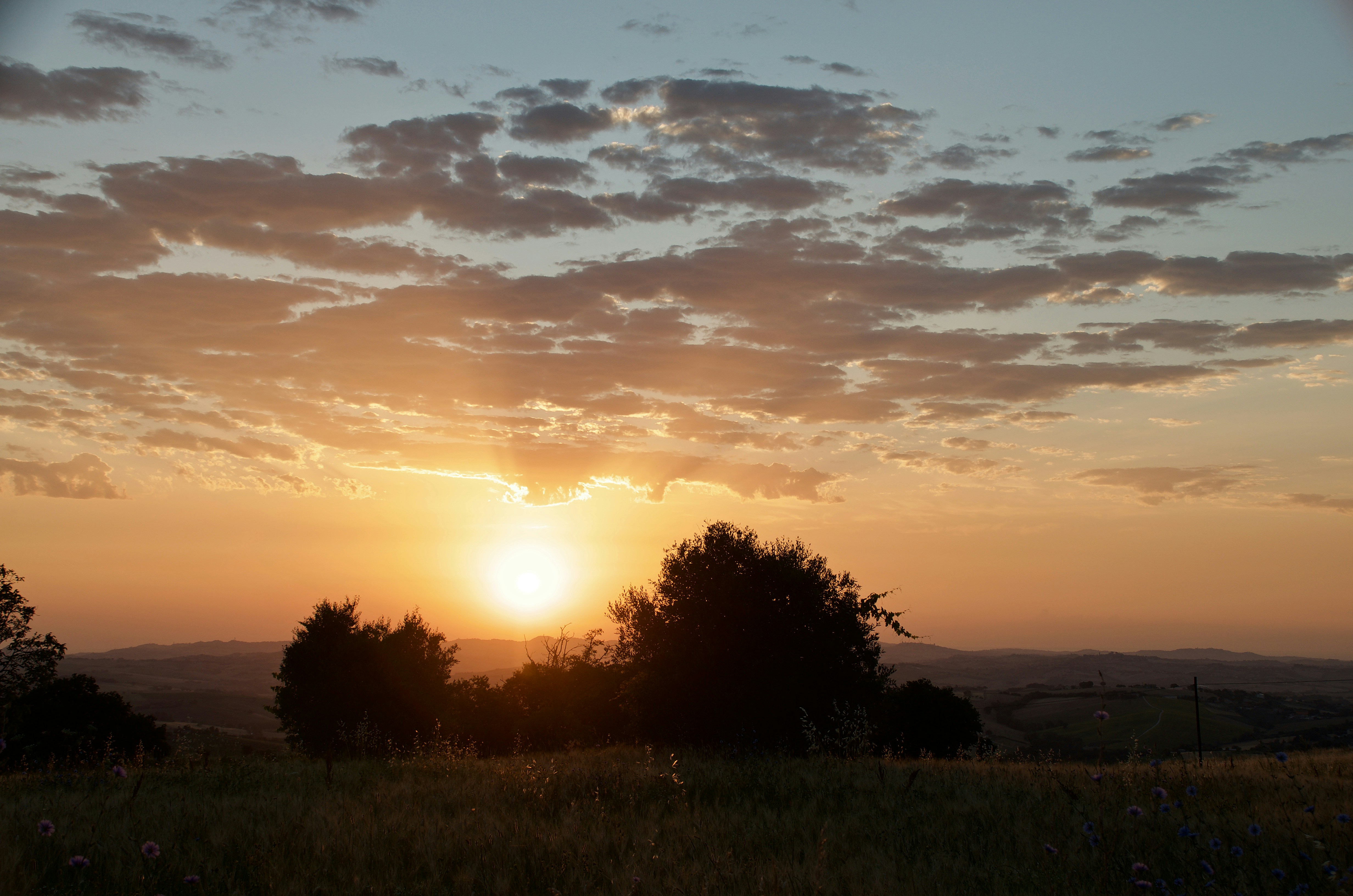 Photo by mariobeducci