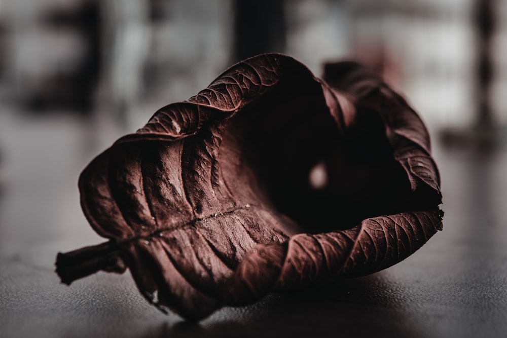 person wearing brown gloves on black wooden table