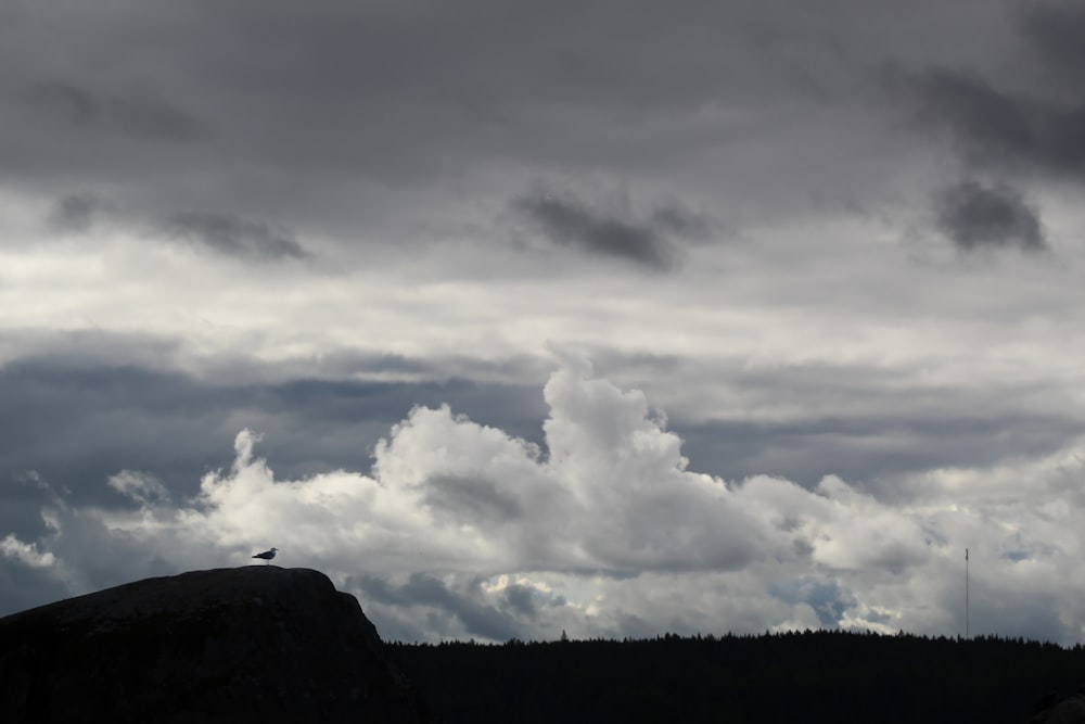 白い雲の下の山のシルエット