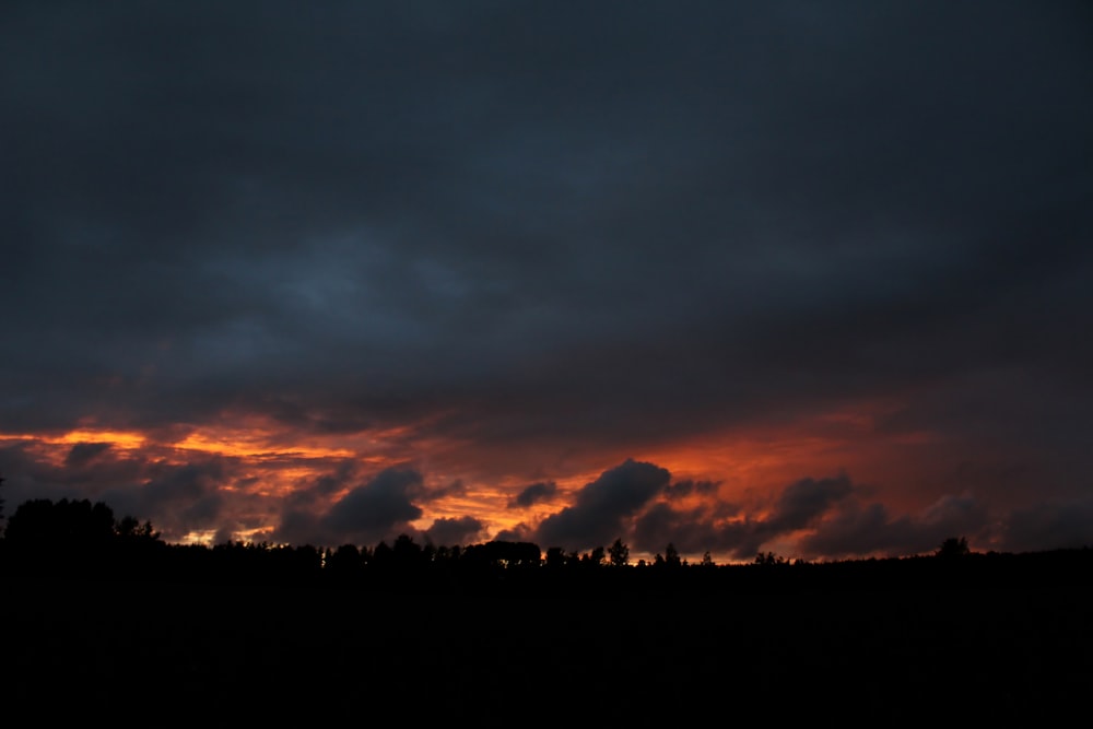 silhouette of trees during sunset