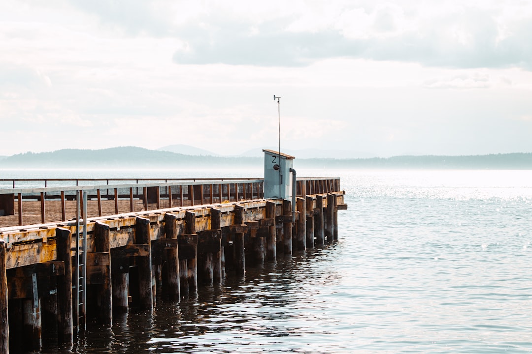 brown wooden dock on sea during daytime