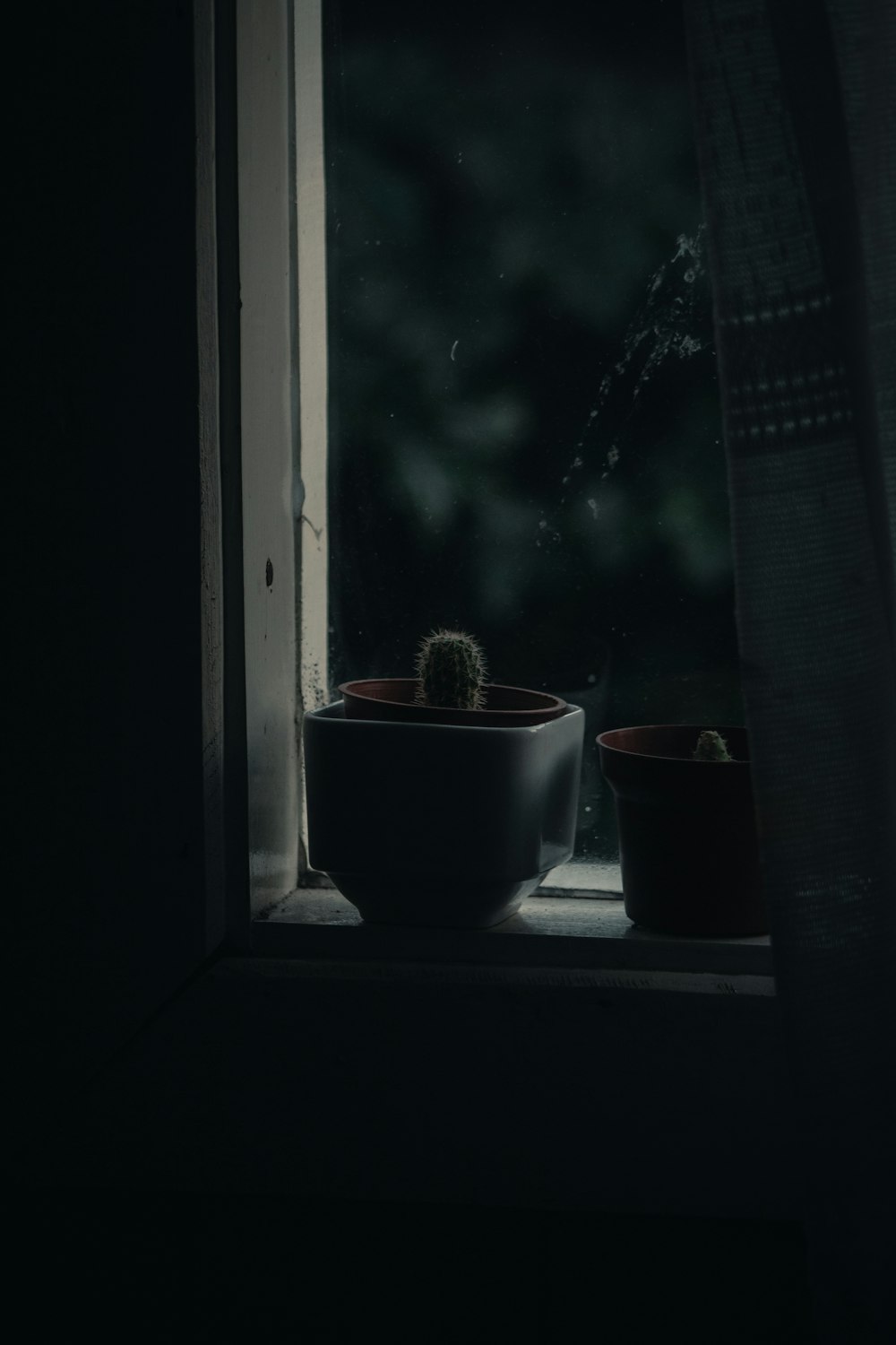 green cactus in white pot beside window