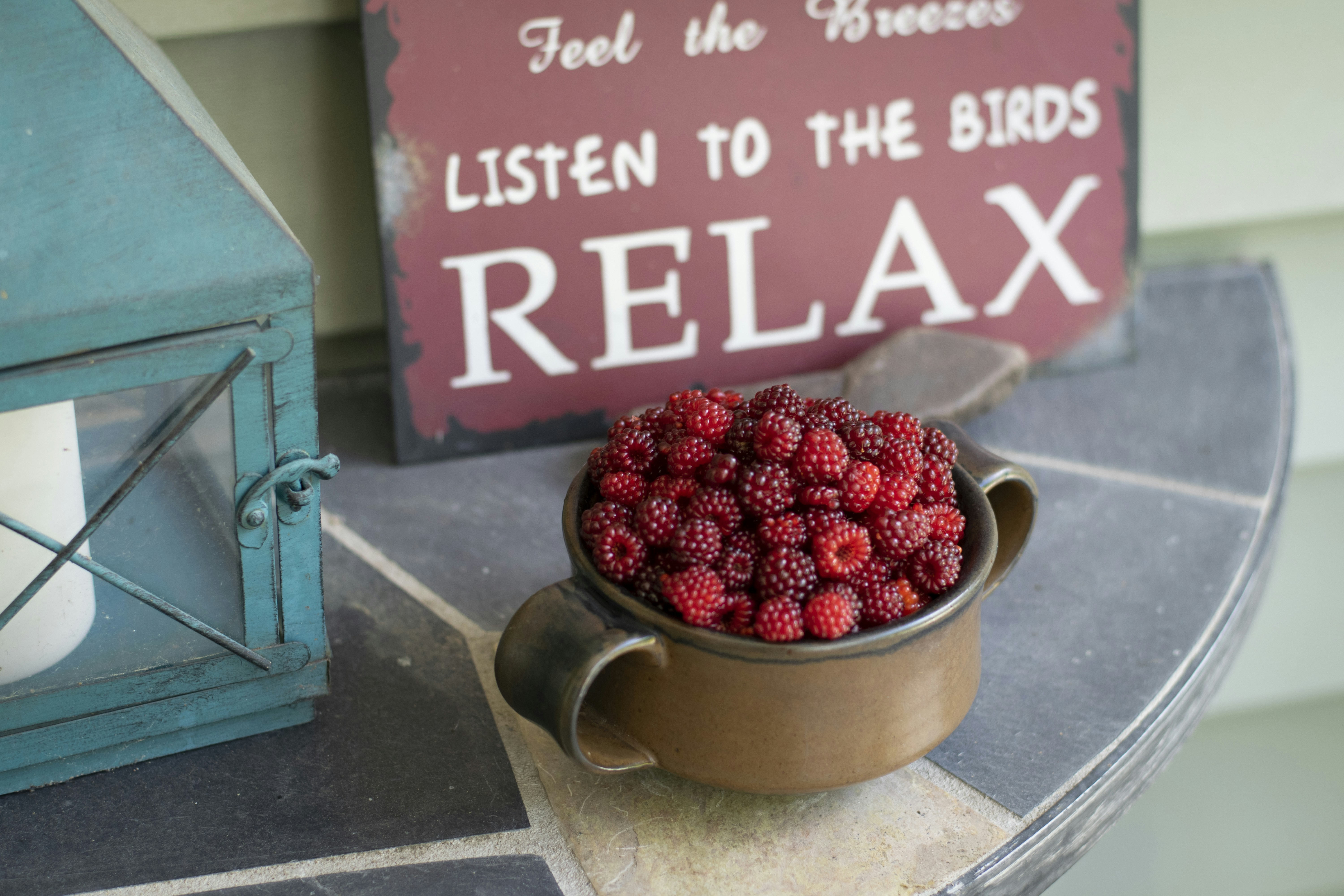 red and black berries in stainless steel bowl