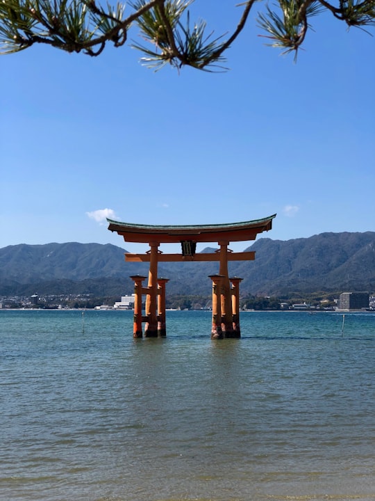 brown wooden tower on body of water during daytime in Itsukushima Shrine Japan