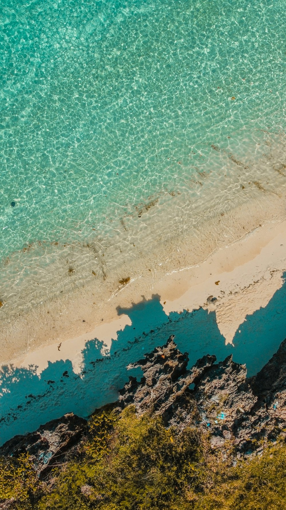 Vista aérea de la playa durante el día