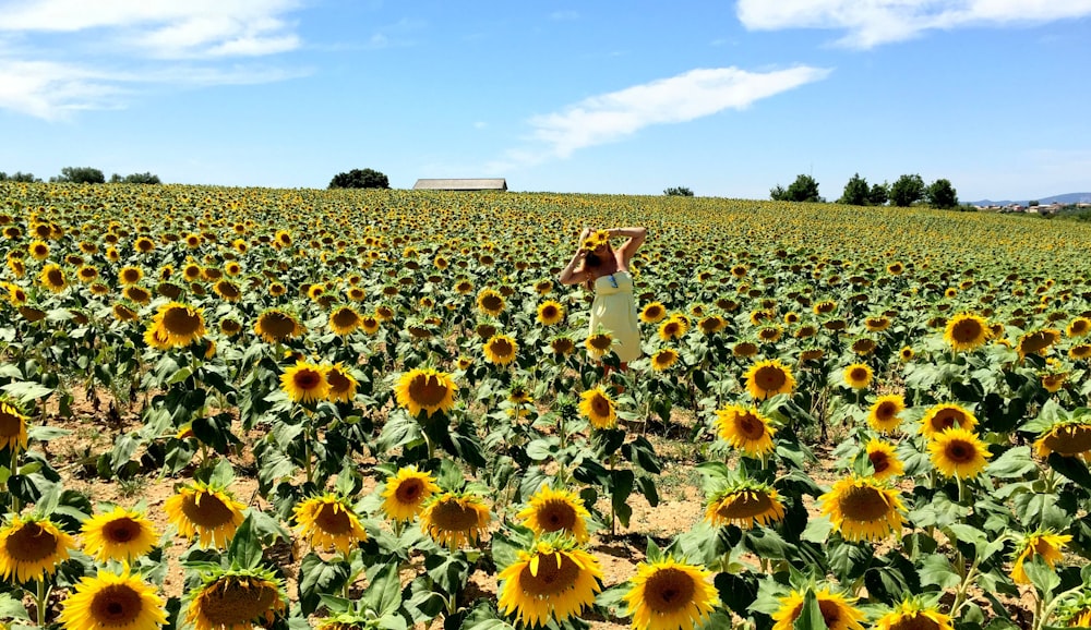 woman in white dress standing on sunflower field during daytime