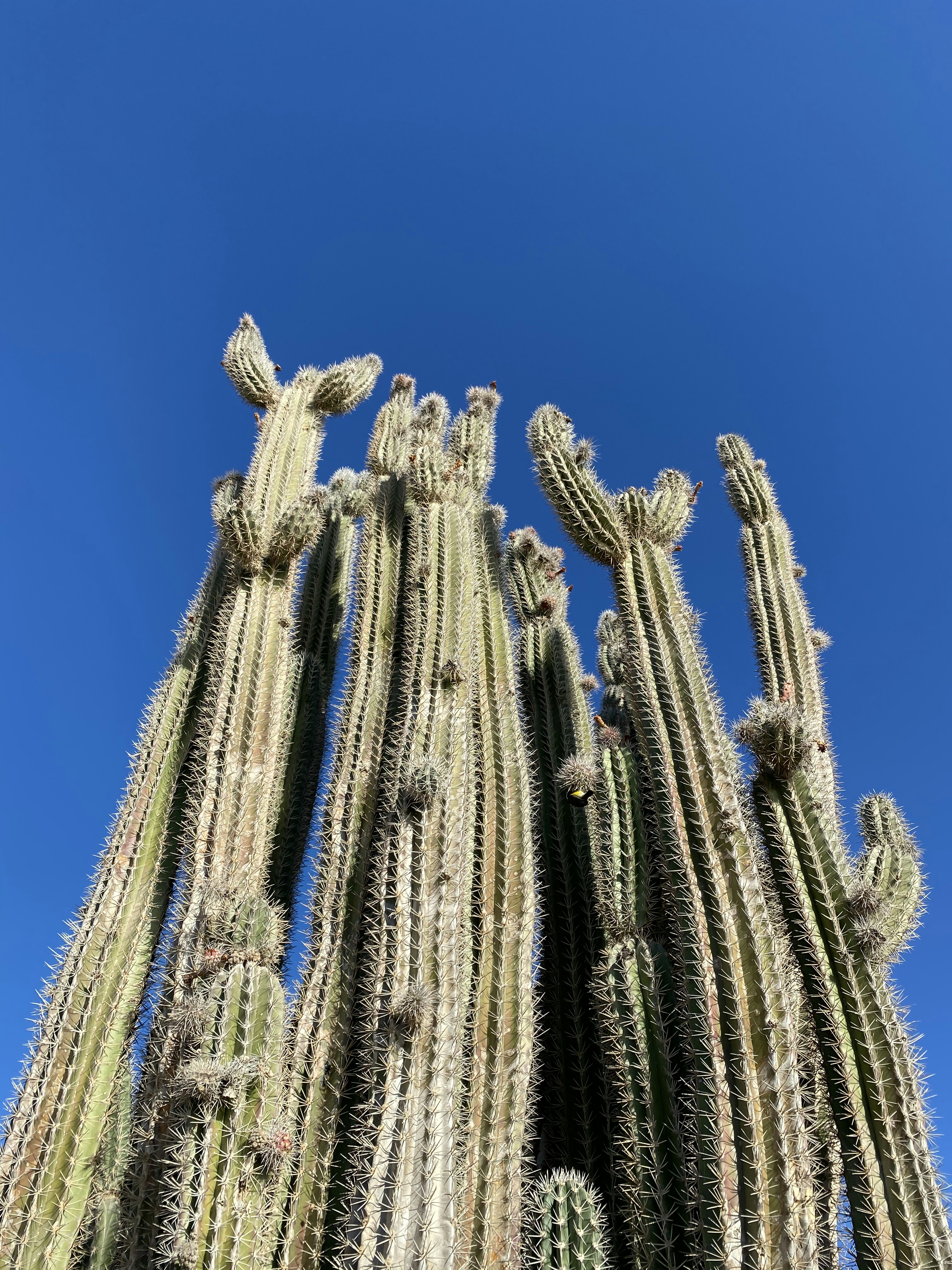 Photo by lanceplaine