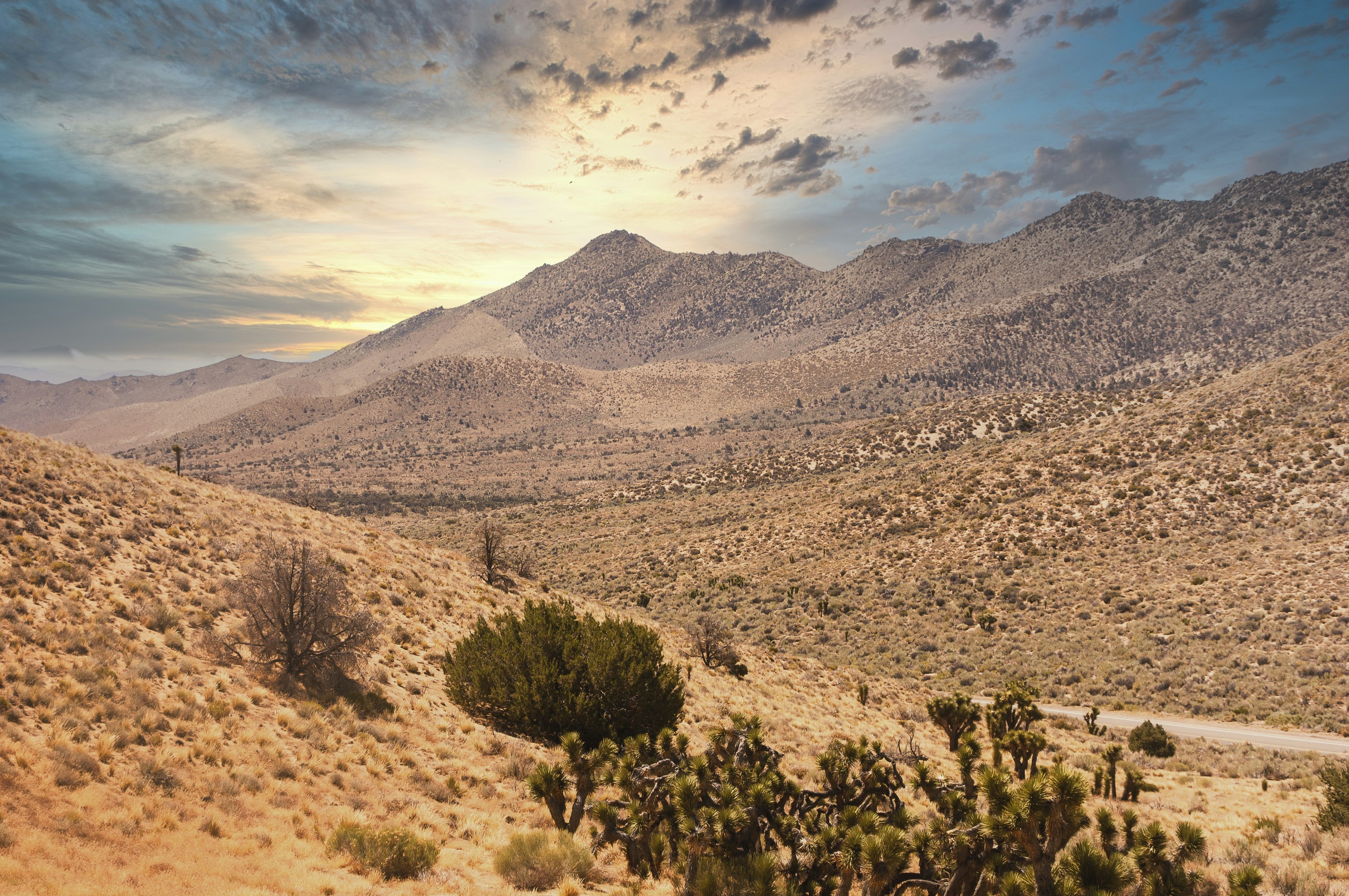 Photo by brianwangenheim