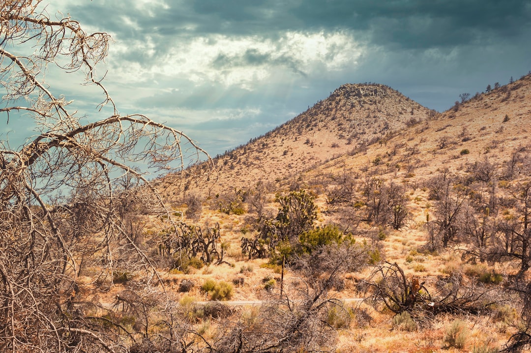 brown mountain under blue sky during daytime