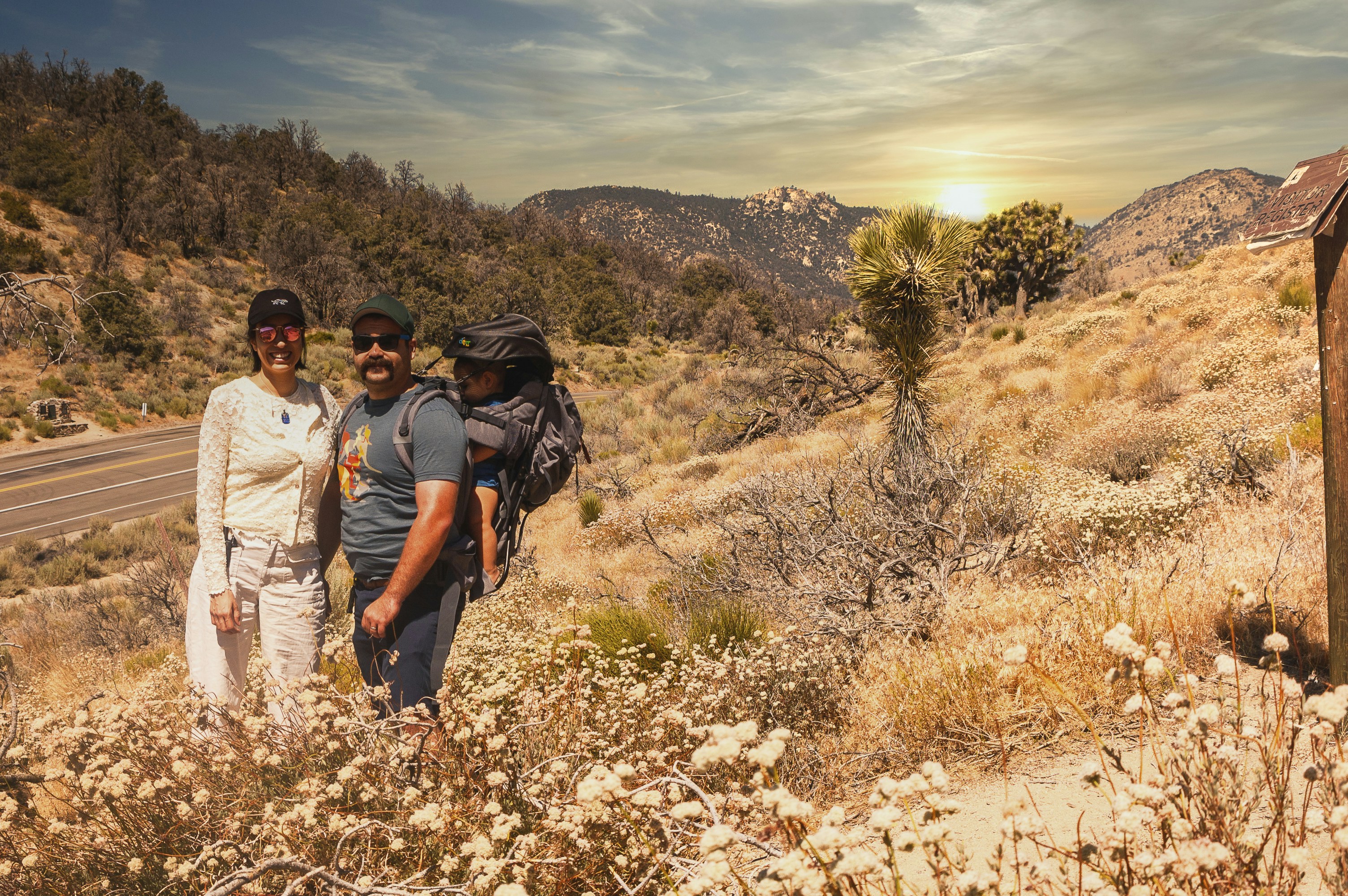 people walking on brown field during daytime, family hiking at pacific crest trail, ca, usa