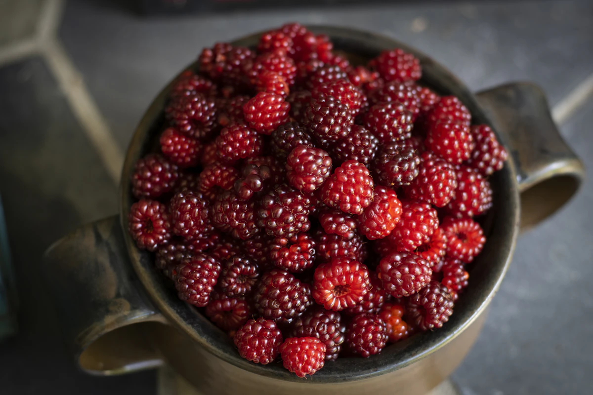 Morangos frescos em tigela de metal, exemplificando fruta inteira com fibra e mastigação