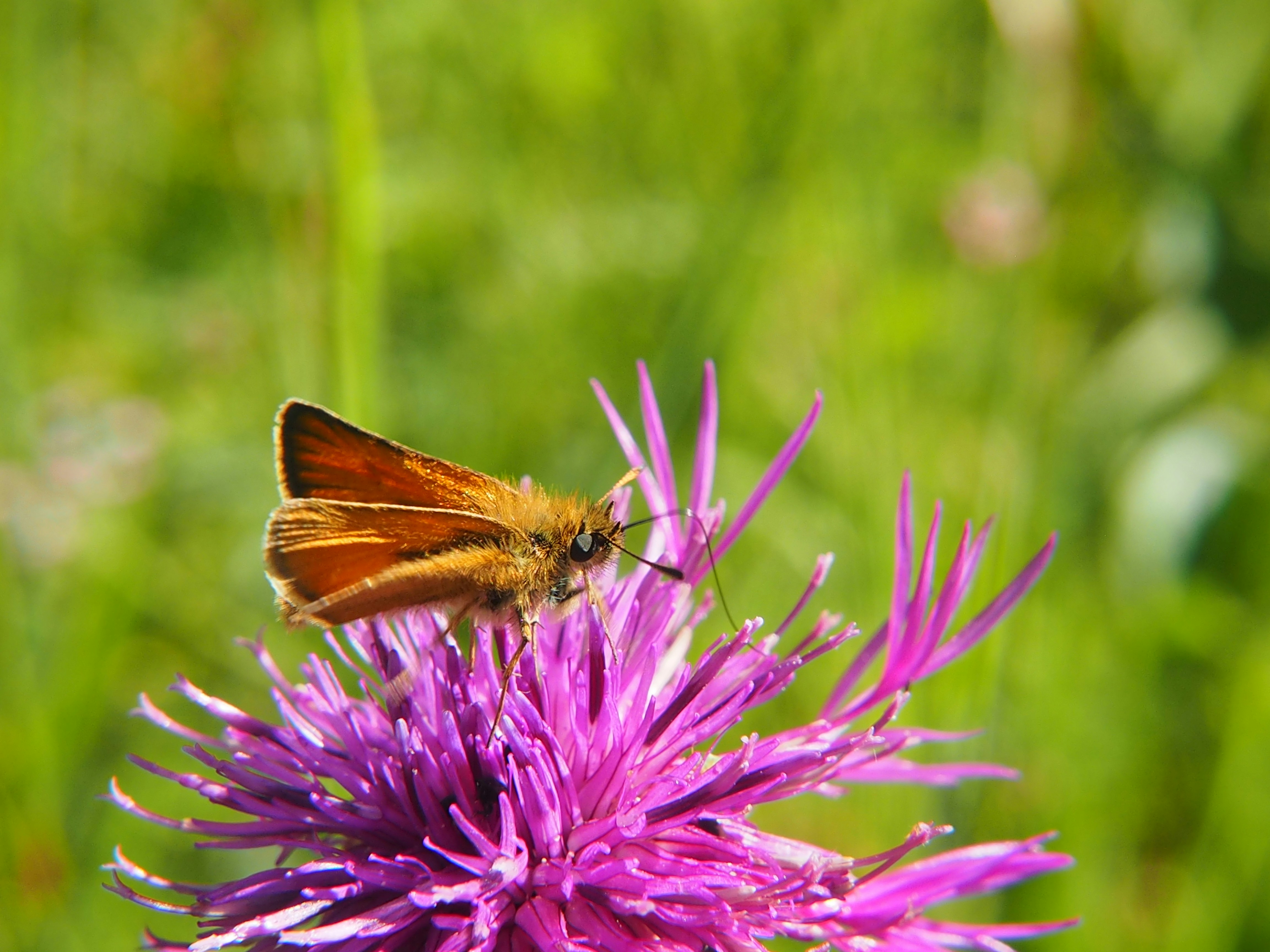 Photo by boarderbloke