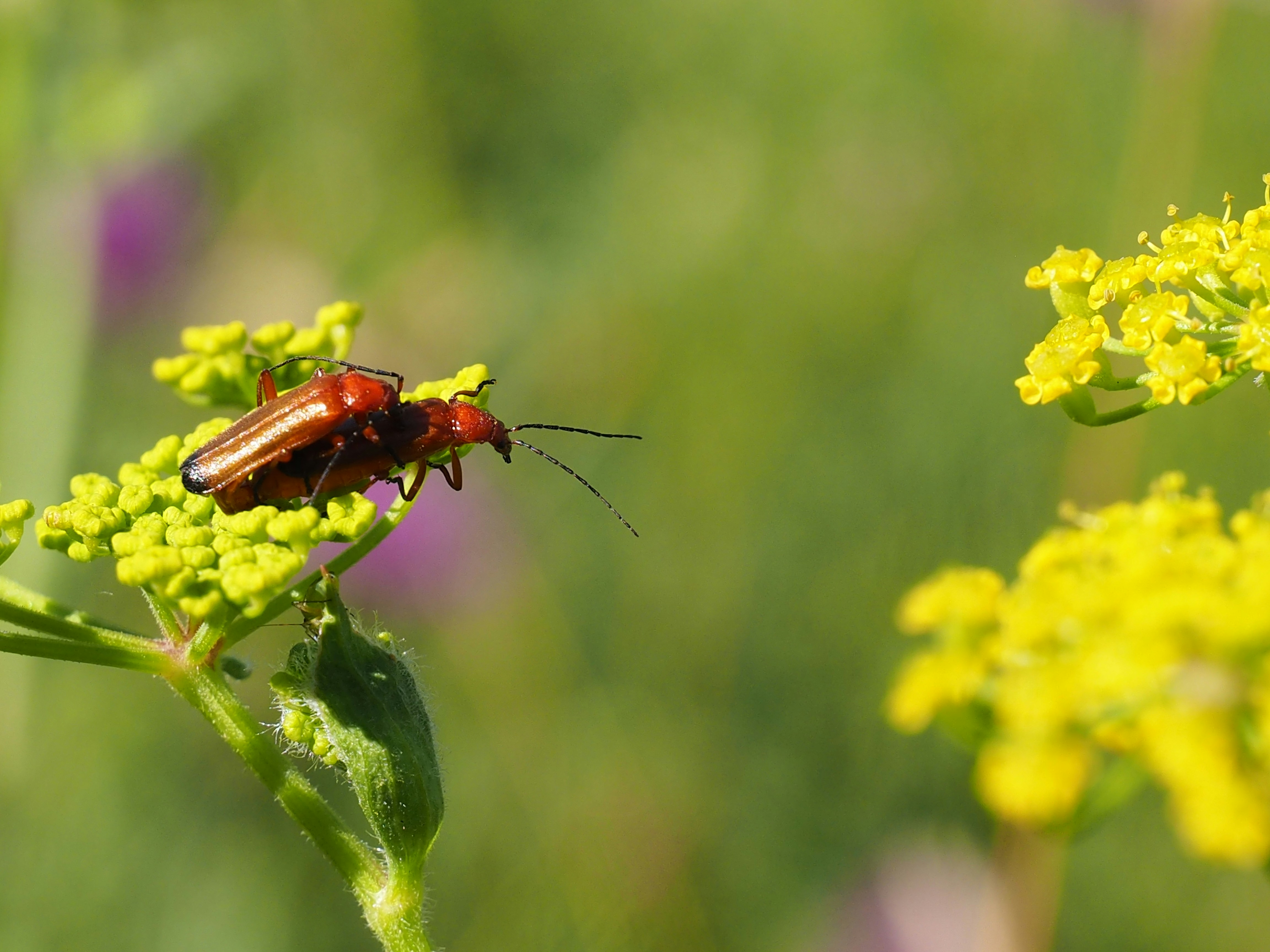 Photo by boarderbloke