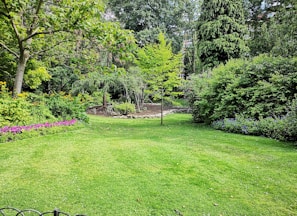 green grass field with trees