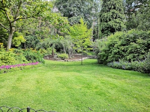 A lush garden with a well-maintained green lawn surrounded by various trees and shrubs. There are colorful flowers and dense foliage creating a serene and vibrant atmosphere. A small, young tree stands in the center, and a rock-bordered area adds texture to the scene.