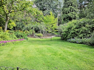 green grass field with trees