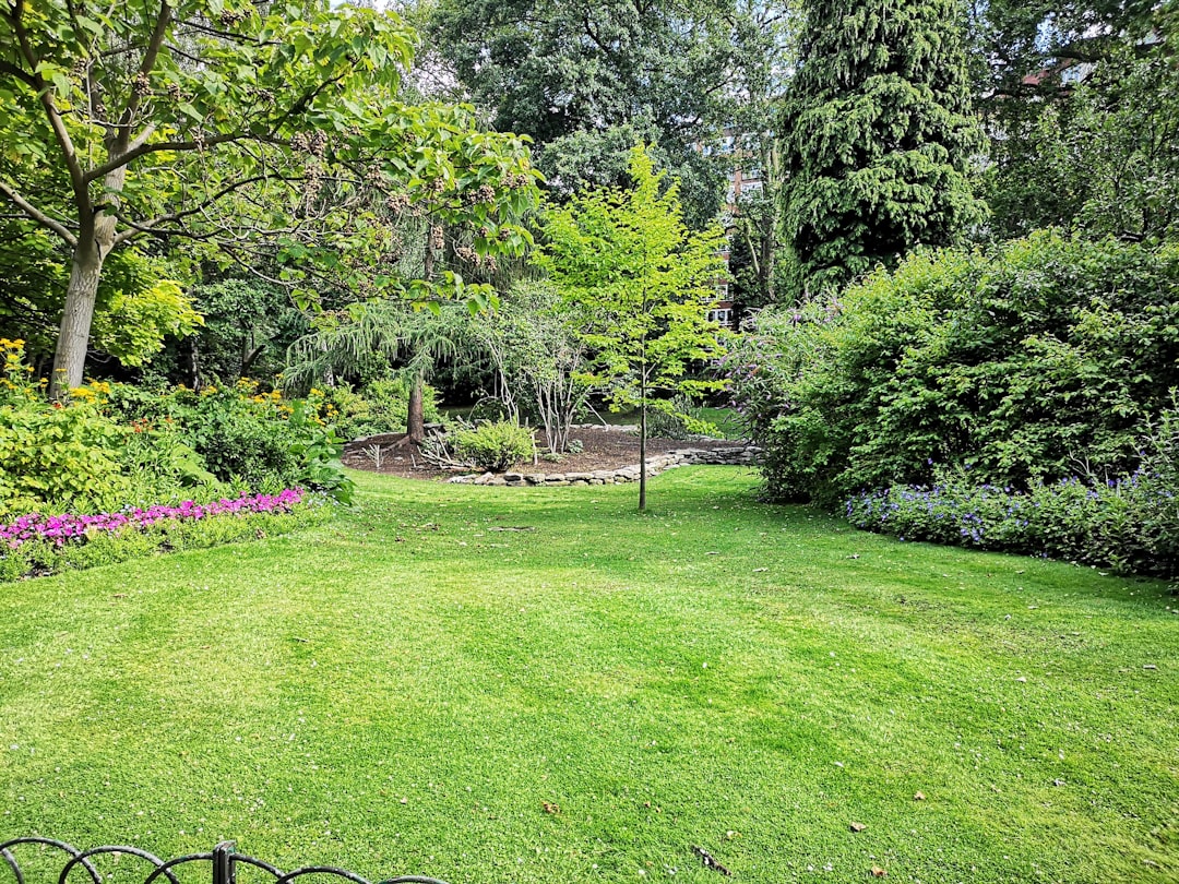 The Benefits of Mulching for Your Lawn and Garden