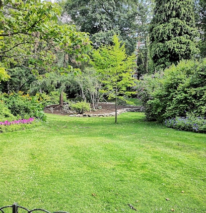 green grass field with trees