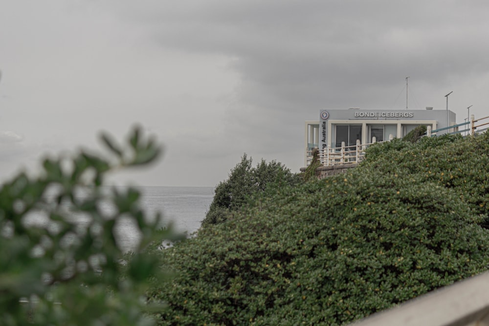 white concrete building near green trees and body of water during daytime