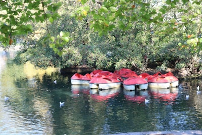 A group of people riding rented pedal boats on a lake.