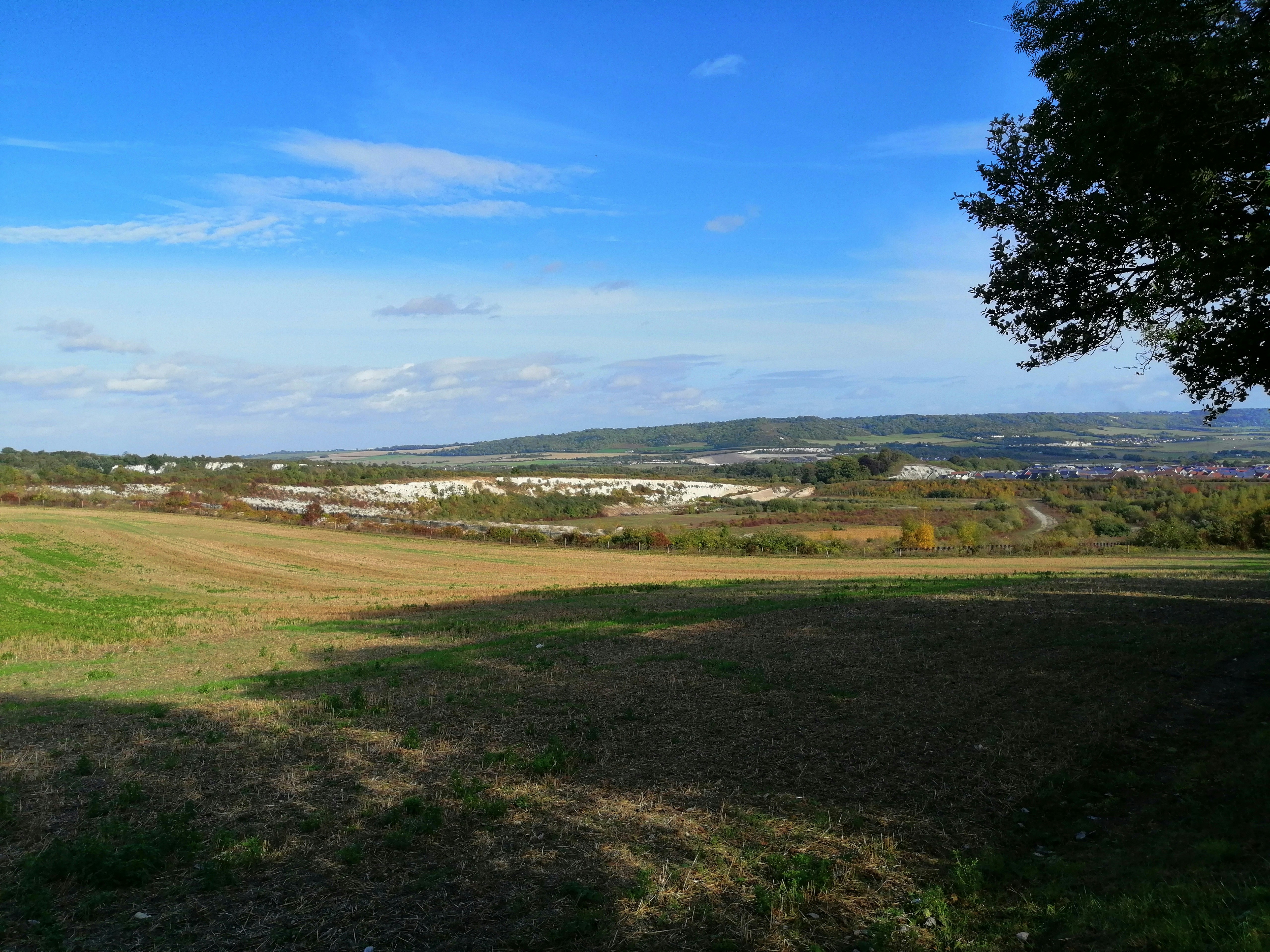 green grass field under blue sky during daytime