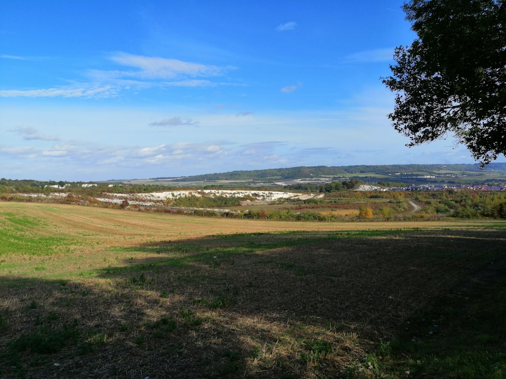 green grass field under blue sky during daytime