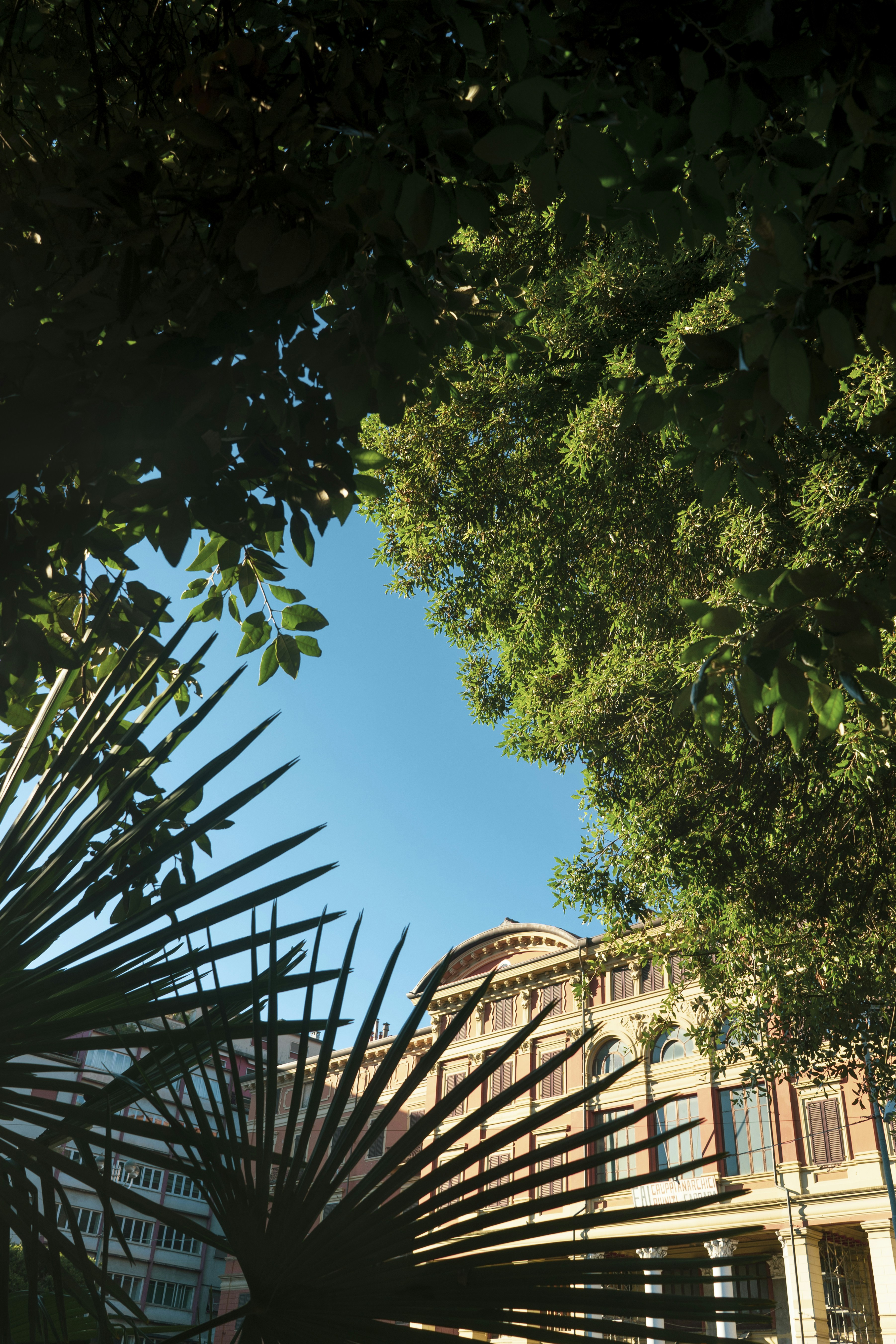 Photo by jianxiangwuph