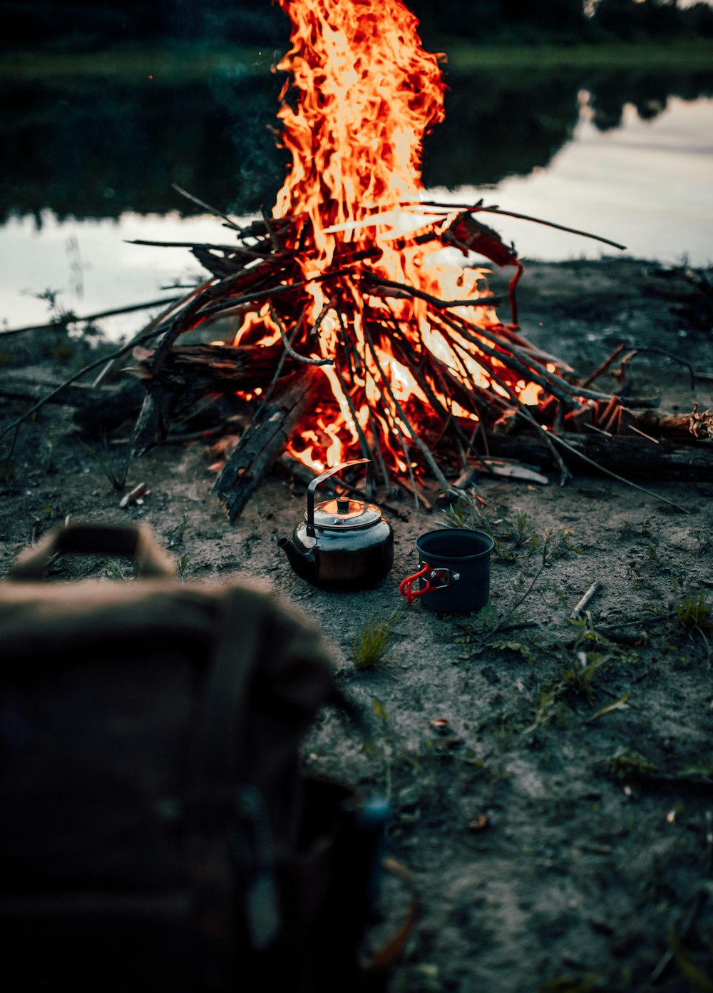 fire woods on ground near body of water during daytime