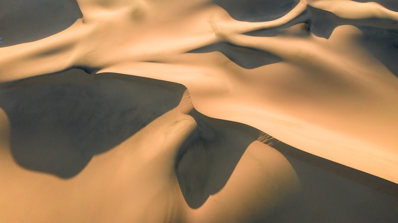 black and white abstract painting