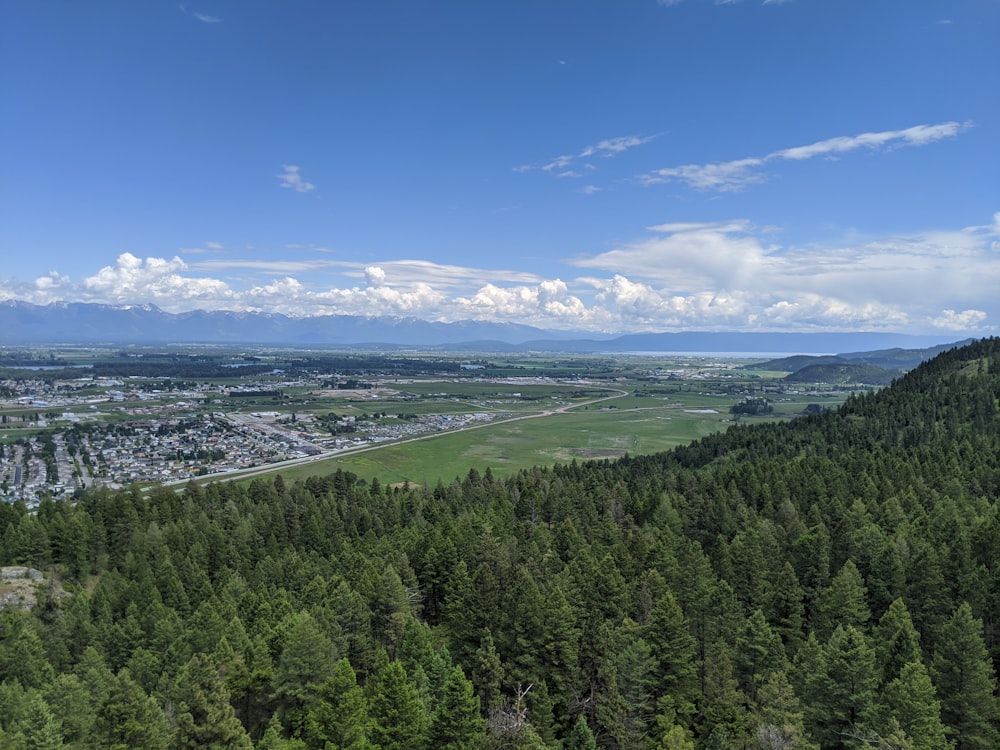 green trees and mountains under blue sky during daytime