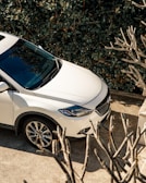A pristine white SUV parked on a residential driveway, freshly detailed and shining.
