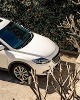 A spotless white SUV parked on a driveway, gleaming after a professional exterior wash and wax.
