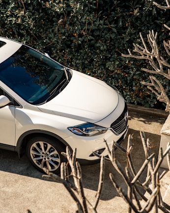 A pristine white SUV parked on a residential driveway, freshly detailed and shining.