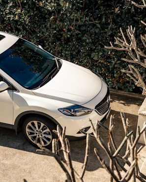 A spotless white SUV parked on a driveway, gleaming after a professional exterior wash and wax.