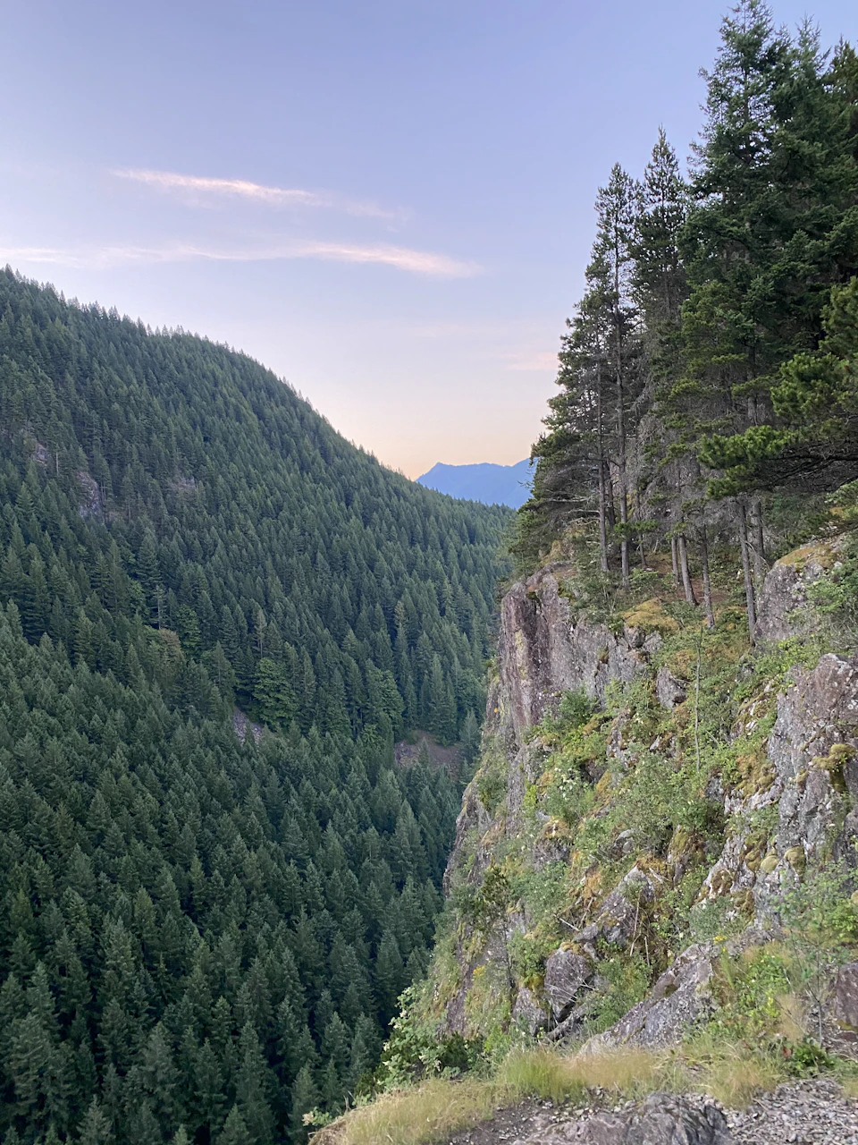 Mountain range with lush green trees and shrubs in a serene blue sky landscape