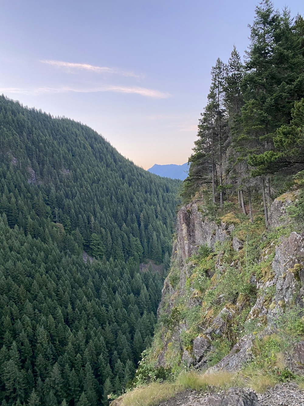 green trees on mountain under blue sky during daytime