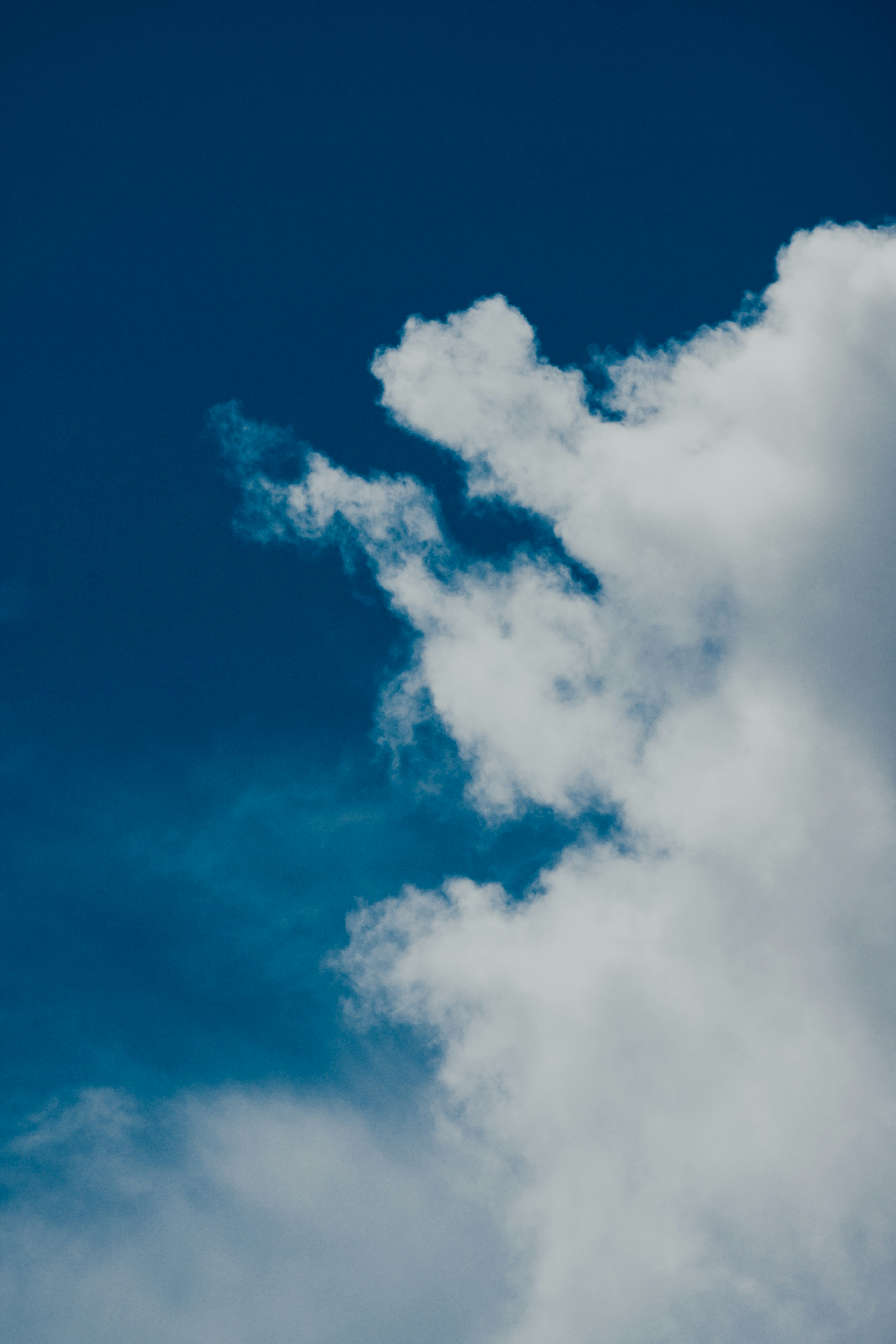 Photo by chuttersnap