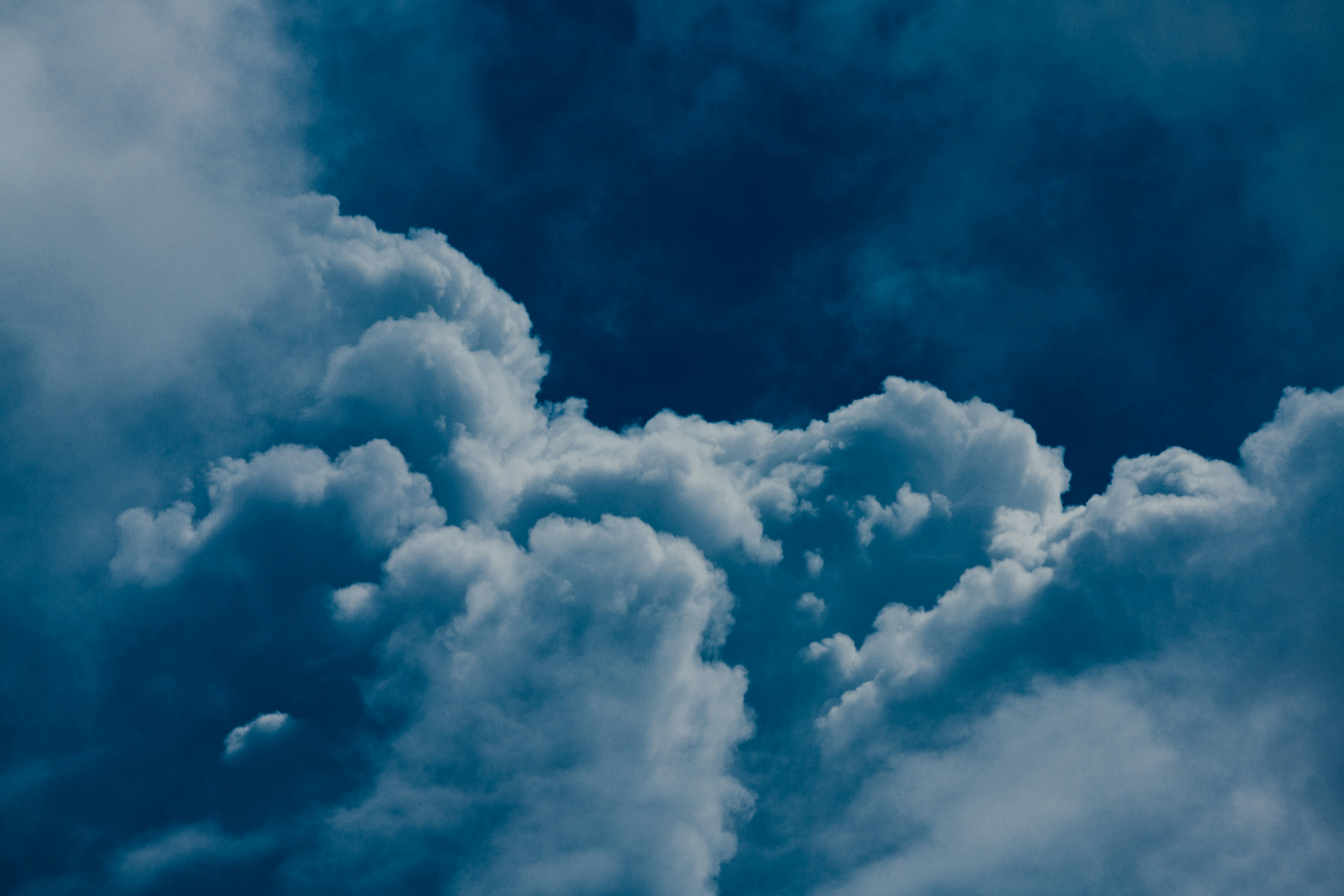 Photo by chuttersnap