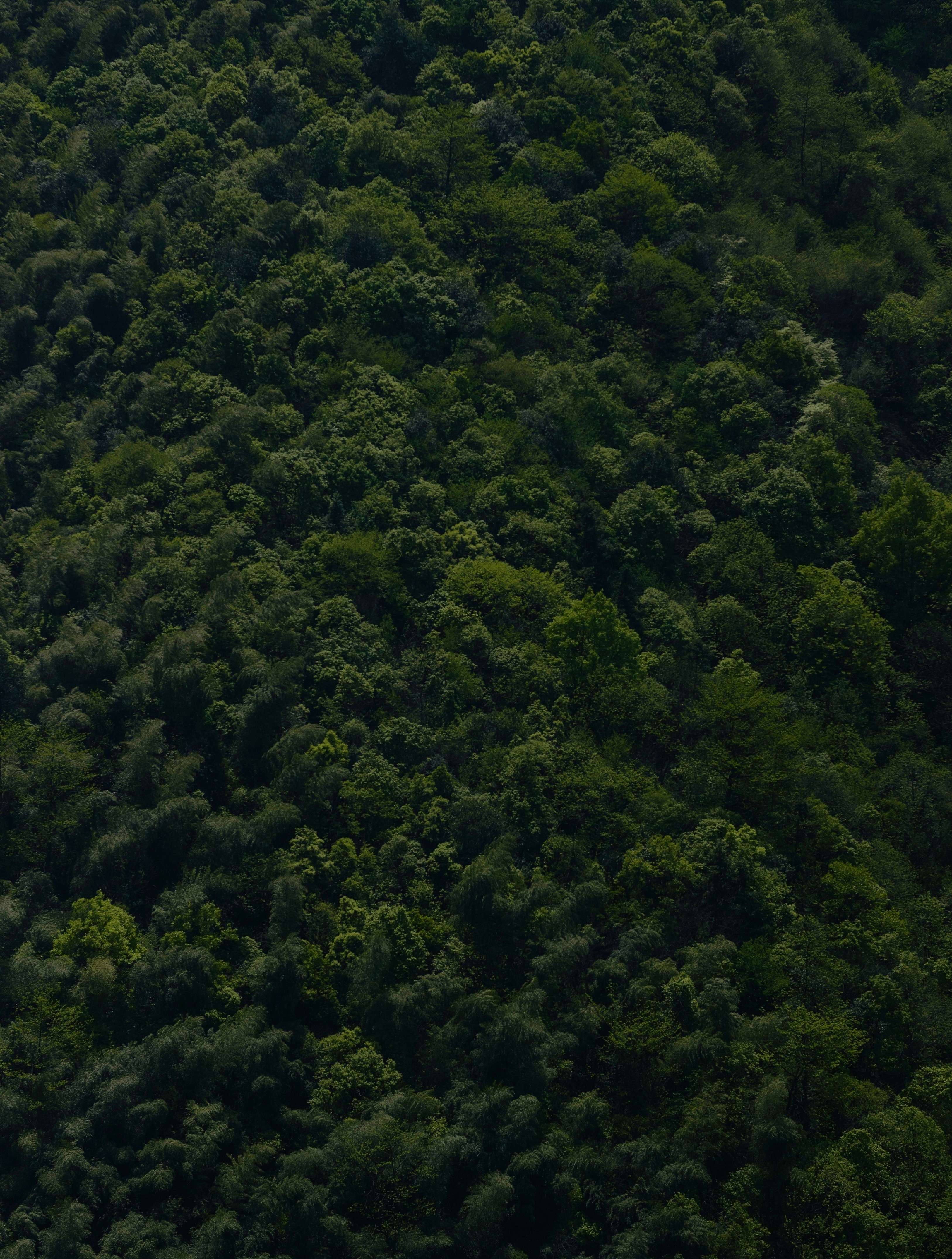 Photo by hanxiaoyaaaaa