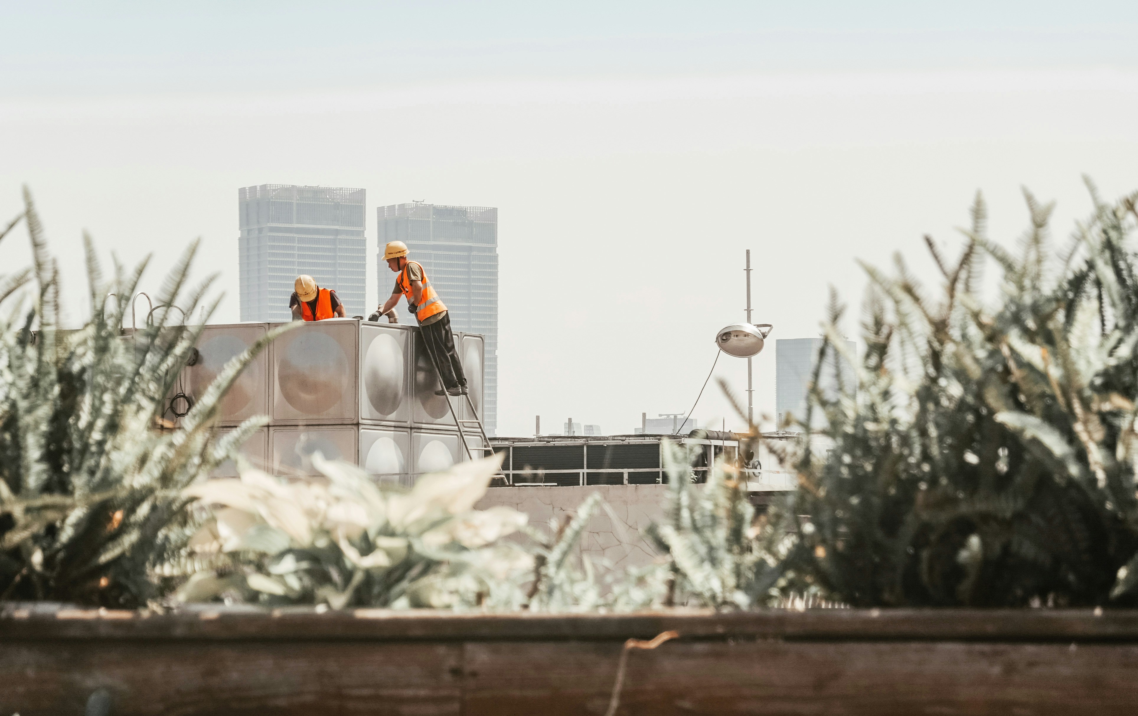 Construction workers on top of a building, with plants in the foreground