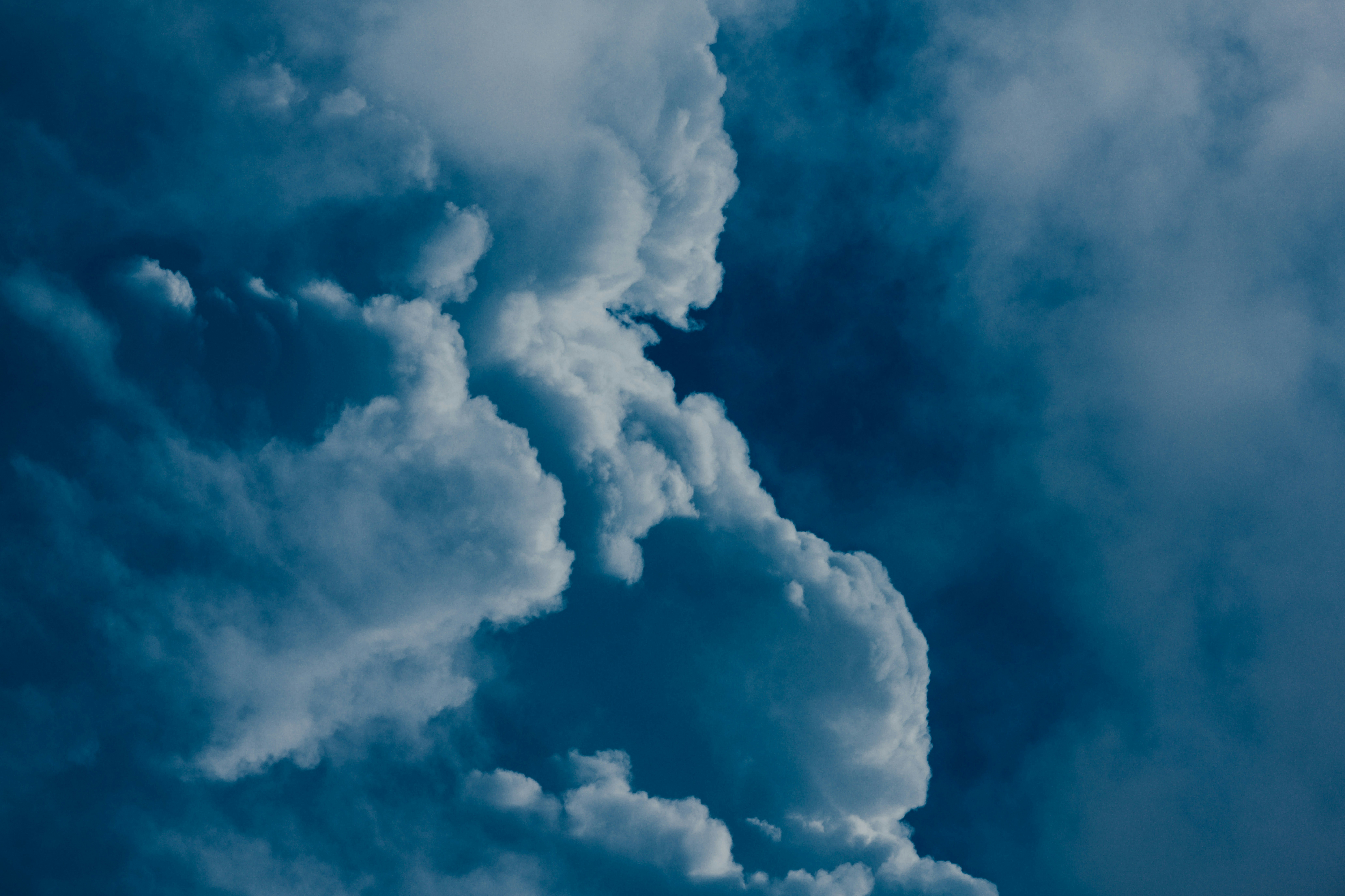 Photo by chuttersnap