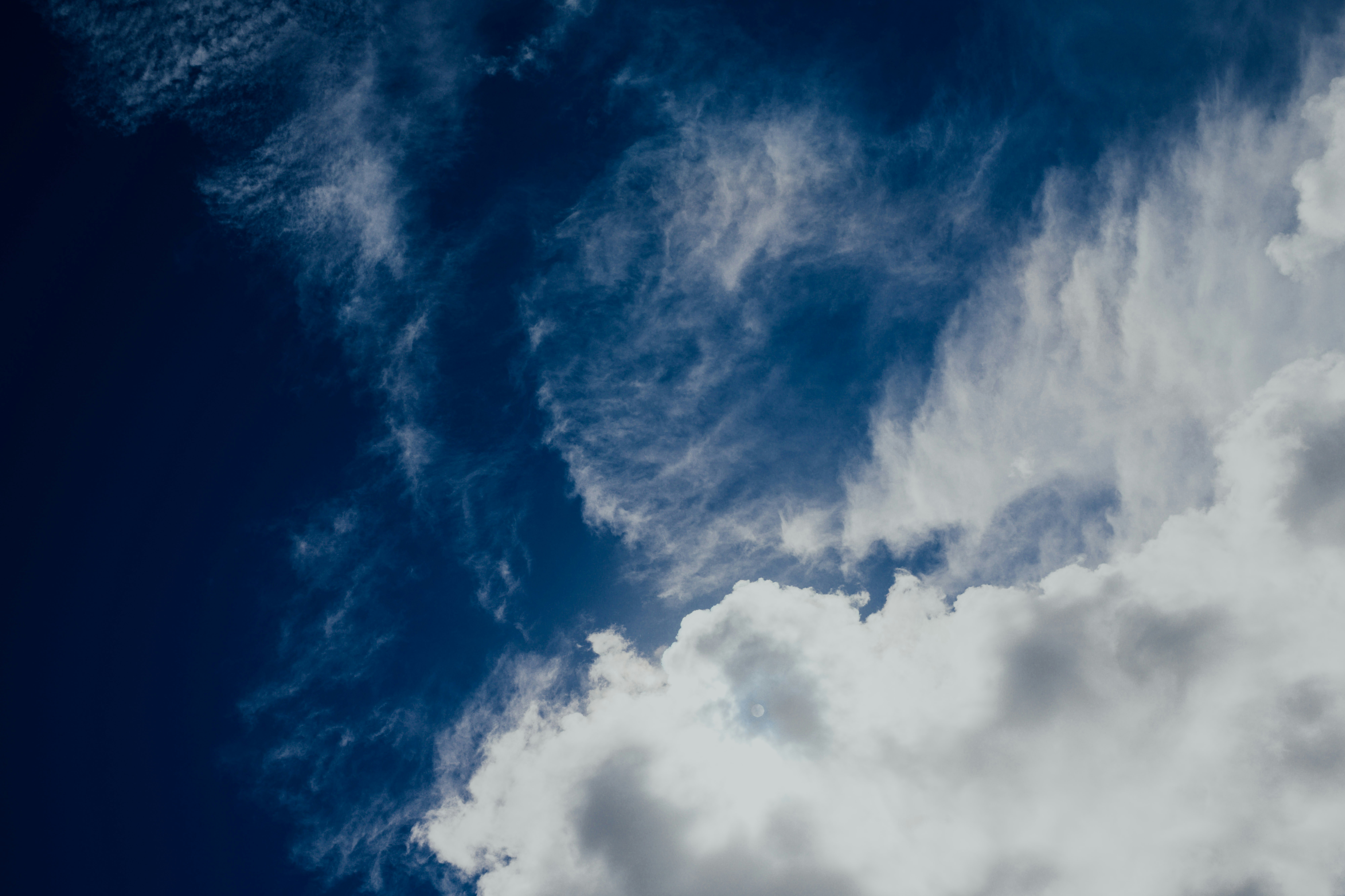 Photo by chuttersnap