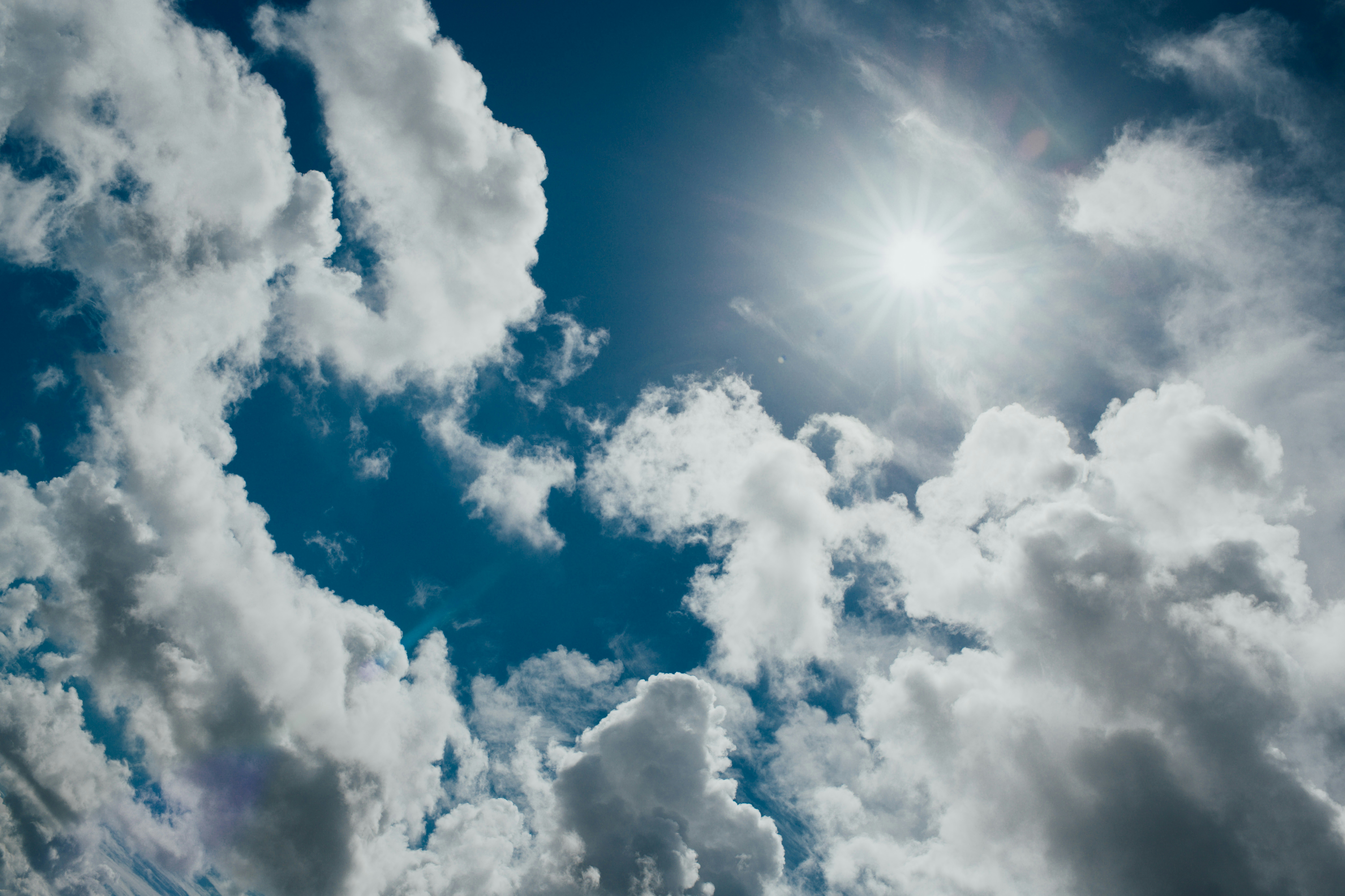 Photo by chuttersnap